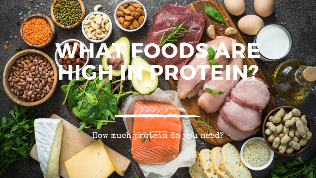 My Metabolic Nutritionist Answers! -  What Foods Are High in Protein?
