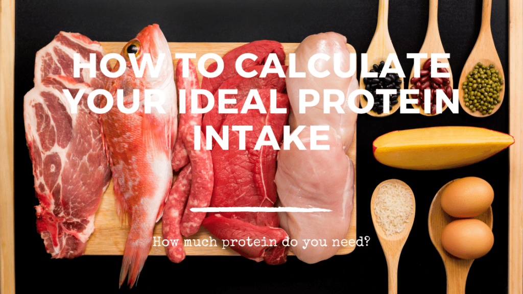 My Metabolic Nutritionist Answers! -  How much protein do you need?